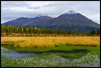 Golden grasses, mountains reflected in pond. Wrangell-St Elias National Park ( color)