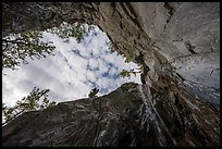 Looking up waterfall below Crystaline Hills. Wrangell-St Elias National Park ( color)