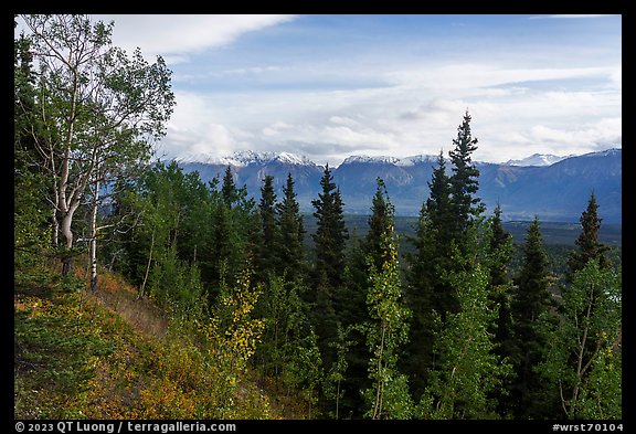 Chitina Valley from Crystaline Hills. Wrangell-St Elias National Park (color)