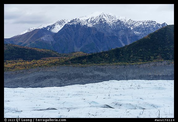 Root Glacier, forest in autum, and snowy mountains. Wrangell-St Elias National Park (color)