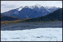 Root Glacier, forest in autum, and snowy mountains. Wrangell-St Elias National Park ( color)