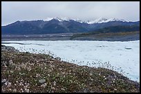 Clematis, Root Glacier, and Wrangell Range mountains. Wrangell-St Elias National Park ( color)