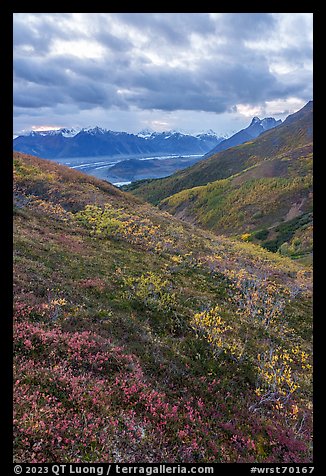Tundra in autumn, Kennicott Glacier, and Wrangell Range. Wrangell-St Elias National Park, Alaska, USA.