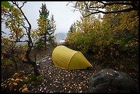 Tent at Jumbo Creek campsite and Root Glacier. Wrangell-St Elias National Park ( color)