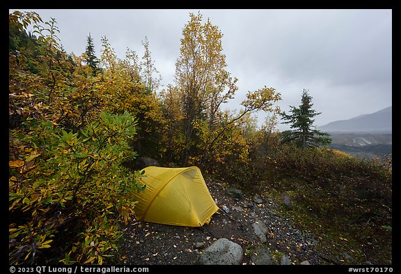 Jumbo Creek backcountry campsite in autumn. Wrangell-St Elias National Park, Alaska, USA.