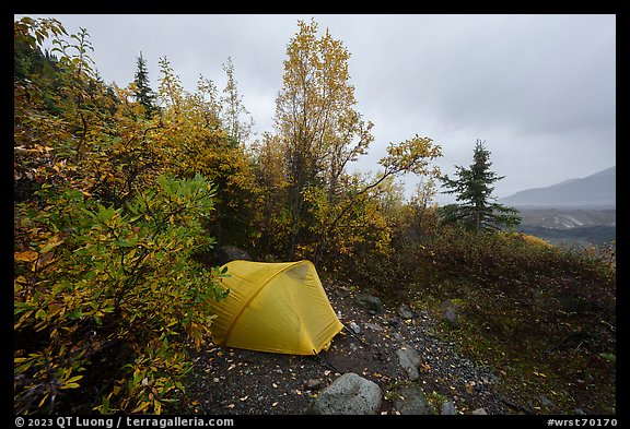 Jumbo Creek backcountry campsite in autumn. Wrangell-St Elias National Park (color)