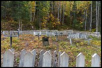 Headstone and wooden crosses at various angles, Kennecott cemetery. Wrangell-St Elias National Park ( color)