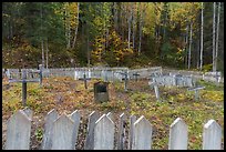 Headstone and wooden crosses at various angles, Kennecott cemetery. Wrangell-St Elias National Park ( color)