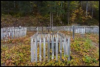 Fenced graves, Kennecott cemetery. Wrangell-St Elias National Park ( color)