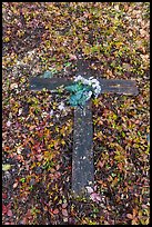 Wooden cross on the ground, Kennecott cemetery. Wrangell-St Elias National Park ( color)