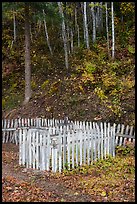 White picket fence and hillside, Kennecott cemetery. Wrangell-St Elias National Park ( color)