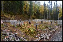 Kennecott cemetery. Wrangell-St Elias National Park ( color)