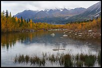 Pond, Kennicott, and Bonanza Ridge. Wrangell-St Elias National Park ( color)