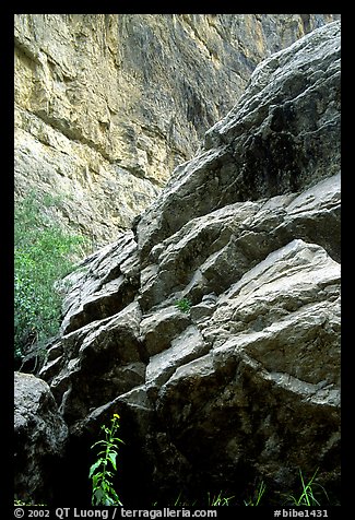 Rocks in Santa Elena Canyon. Big Bend National Park (color)