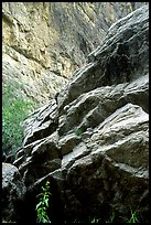 Rocks in Santa Elena Canyon. Big Bend National Park, Texas, USA.