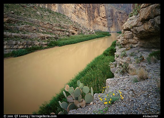 Rio Grande in Santa Elena Canyon. Big Bend National Park, Texas, USA.