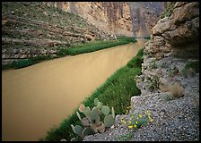 Rio Grande in Santa Elena Canyon. Big Bend National Park, Texas, USA.