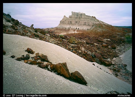 Low white mounds of compacted volcanic ash near Tuff Canyon. Big Bend National Park, Texas, USA.