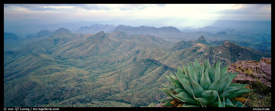 Century plant and desert mountains from South Rim. Big Bend National Park (color)