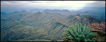 Century plant and desert mountains from South Rim. Big Bend National Park (Panoramic color)