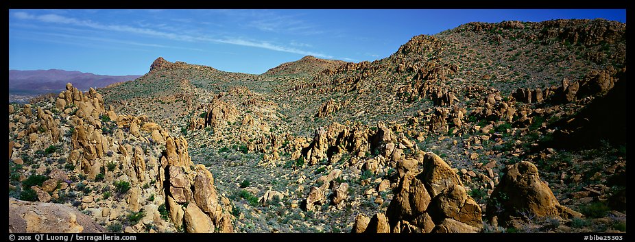 Valley strewn with rock boulders, Grapevine Mountains. Big Bend National Park (color)
