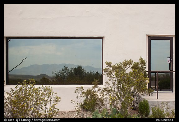 Shrubs, Chisos mountains, Persimmon Gap Visitor Center window reflexion. Big Bend National Park, Texas, USA.