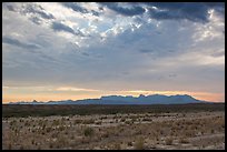 Dry riverbed, distant Chisos Mountains, and clouds. Big Bend National Park, Texas, USA. (color)