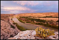 Cactus above Rio Grande River. Big Bend National Park ( color)