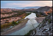 Ocotillo above Rio Grande River, sunset. Big Bend National Park, Texas, USA. (color)