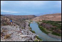 Park visitor looking, Rio Grande River. Big Bend National Park, Texas, USA.