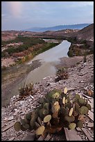 Rio Grande Wild and Scenic River, dusk. Big Bend National Park, Texas, USA.