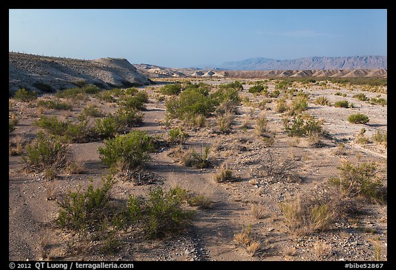 Dry riverbed. Big Bend National Park (color)