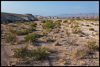 Dry riverbed. Big Bend National Park ( color)