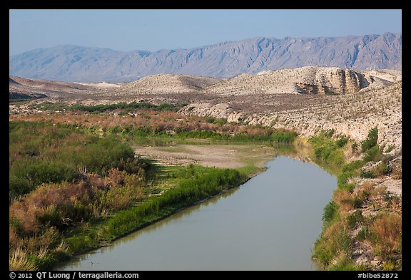 Riparian habitat along Rio Grande River and desert mountains. Big Bend National Park, Texas, USA.