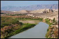 Riparian habitat along Rio Grande River and desert mountains. Big Bend National Park, Texas, USA.