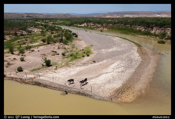 Horses, Riverbend of the Rio Grande. Big Bend National Park, Texas, USA.