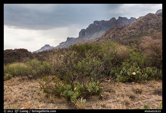 Storm over Chisos Mountains. Big Bend National Park, Texas, USA.