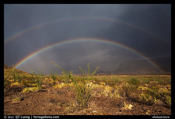 Double rainbow over Chihuahuan desert. Big Bend National Park (color)
