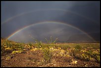 Double rainbow over Chihuahuan desert. Big Bend National Park ( color)