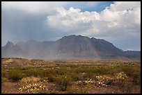 Clearing storm, rainbow, and Chisos Mountains. Big Bend National Park, Texas, USA. (color)