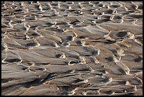 Close up of muds. Big Bend National Park ( color)