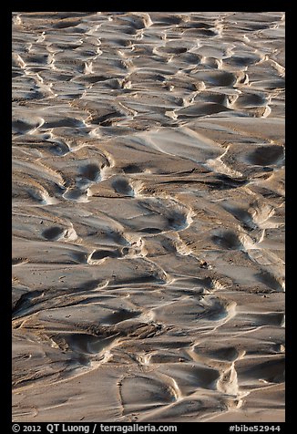 Mud ripples, Terlingua Creek. Big Bend National Park (color)