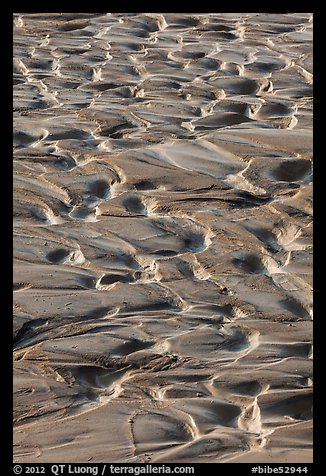 Mud ripples, Terlingua Creek. Big Bend National Park, Texas, USA.