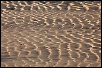 Mud flat close-up. Big Bend National Park ( color)