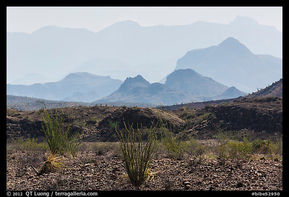 Desert and hazy Chisos Mountains. Big Bend National Park, Texas, USA.