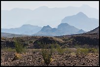 Desert and hazy Chisos Mountains. Big Bend National Park, Texas, USA. (color)