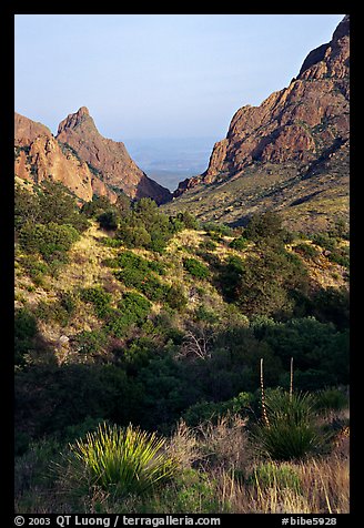 The Window, a V-opening through Chisos Basin. Big Bend National Park, Texas, USA.