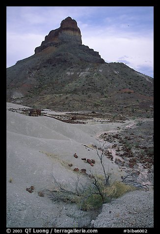 Volcanic tower near Tuff Canyon. Big Bend National Park, Texas, USA.