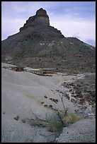 Volcanic tower near Tuff Canyon. Big Bend National Park, Texas, USA.