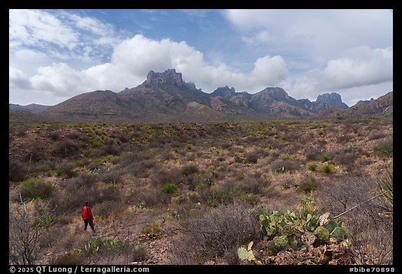 Visitor looking, Chisos Mountains. Big Bend National Park (color)
